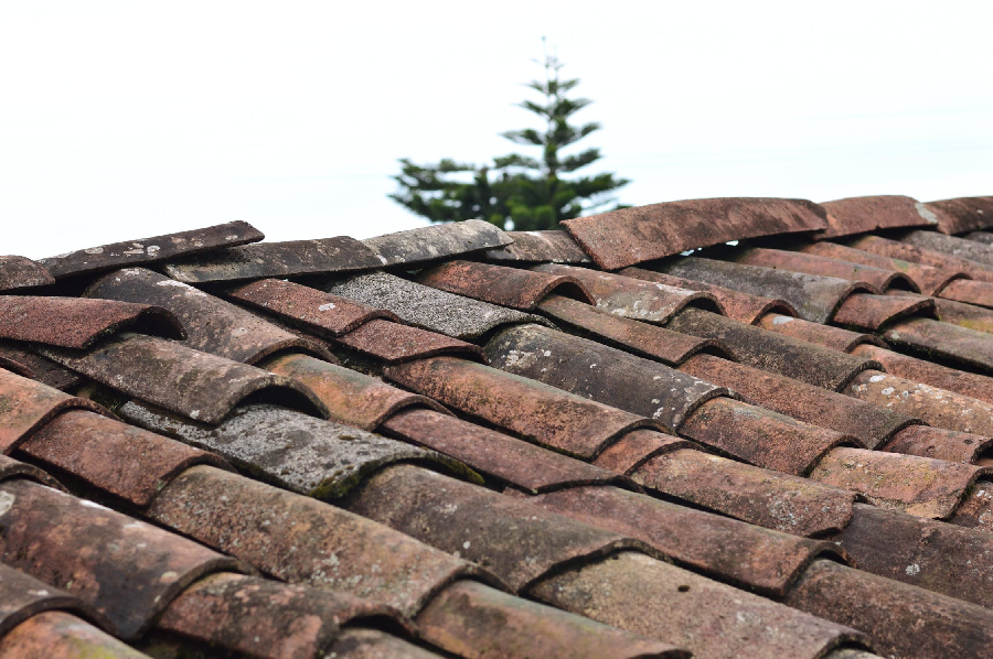 What Are the Common Types of Roof Damage? - Vimarsana News