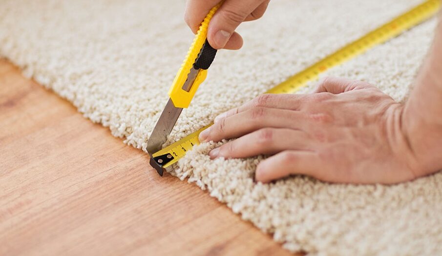 Your Guide To Insect And PestProof Carpet Installation News Blogged